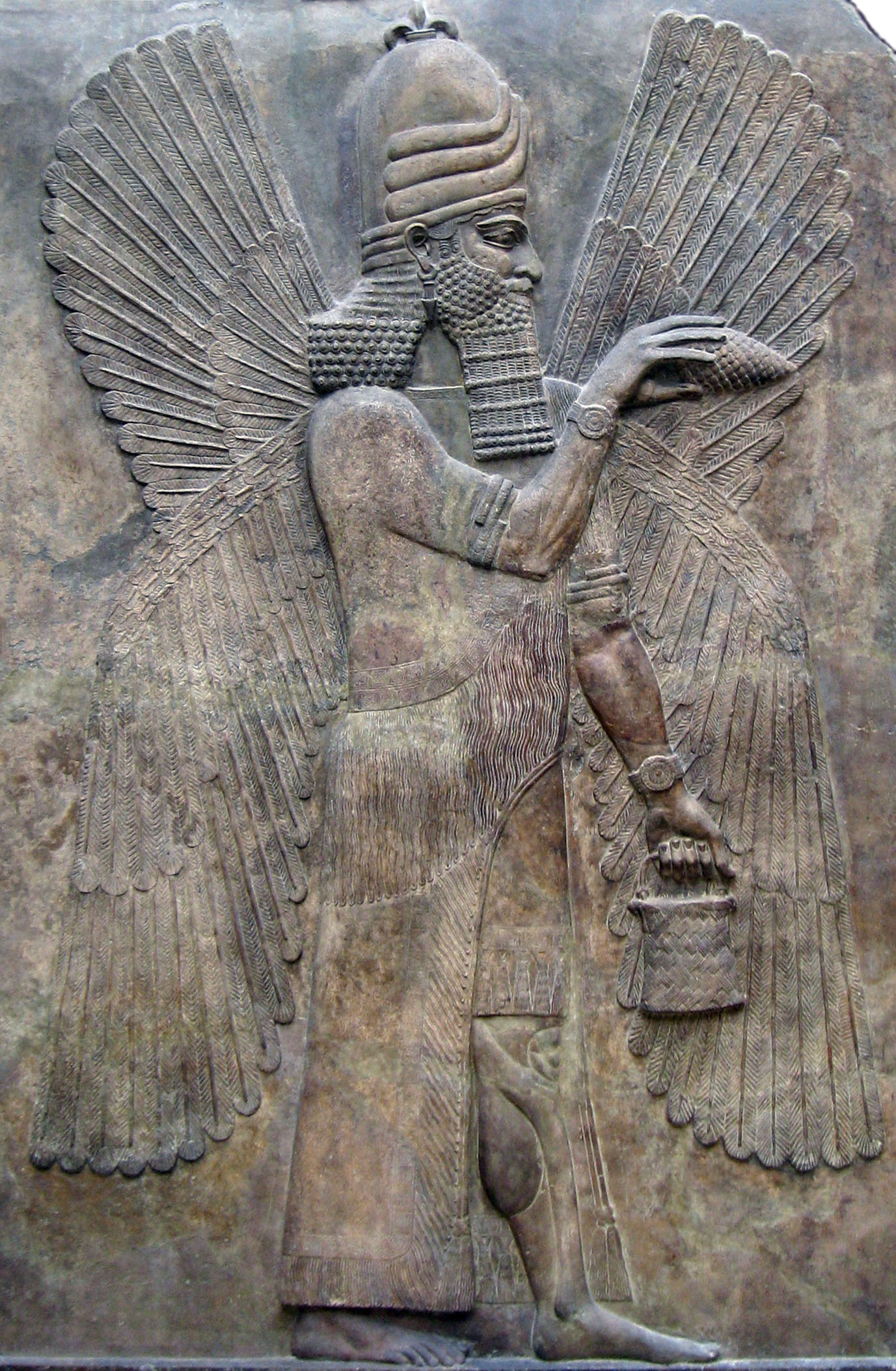 Apadana winged man