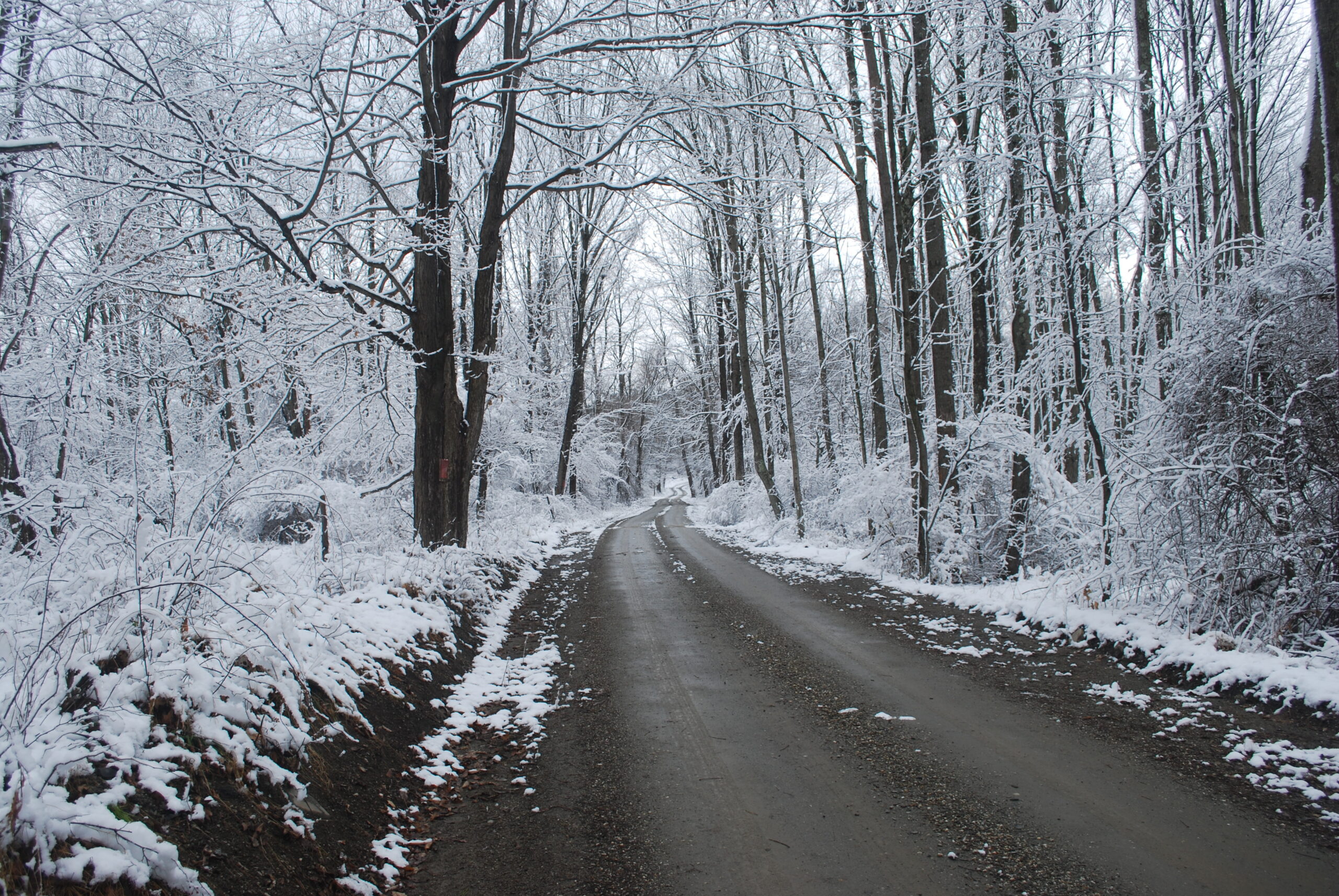 Dirt road in winter