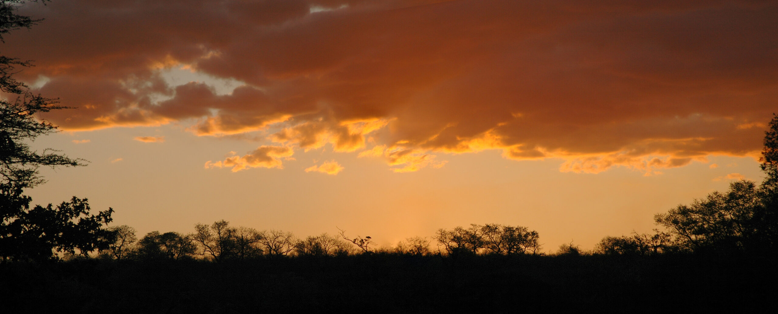 Krügerpark-sunset-001