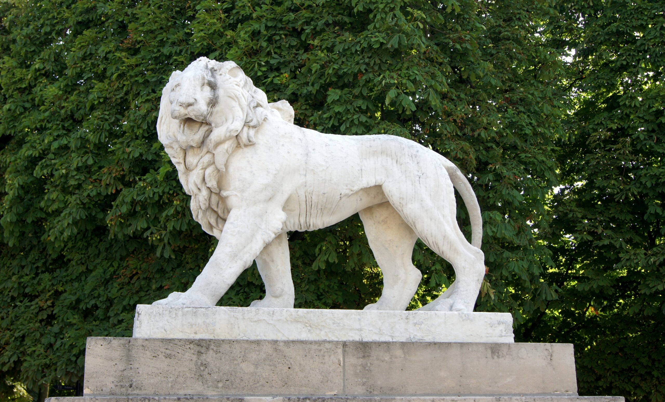 Lion jardin luxembourg